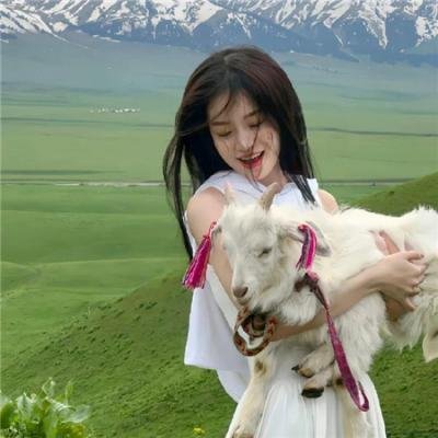 乐一通反斗特攻队 在线观看封面