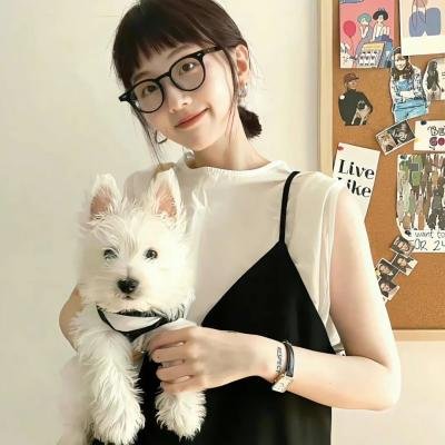 绮梦之旅 在线观看封面